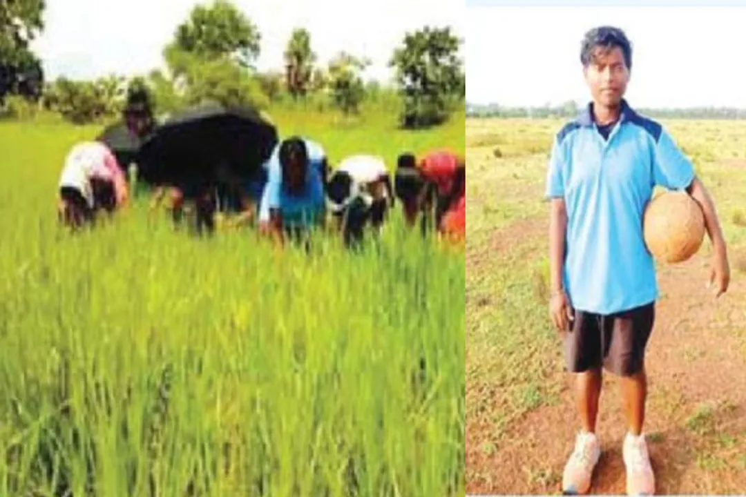  National-level woman footballer from Odisha now toiling hard in paddy fields for a living