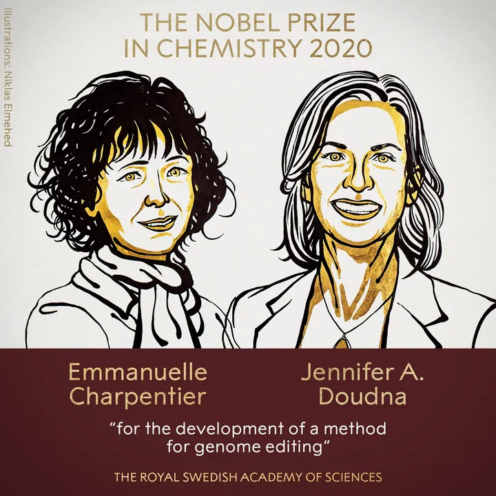  Two women scientists win Nobel in Chemistry for 'genetic scissors'