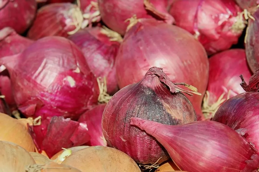  Odisha: Collectors asked to keep close watch on onion prices