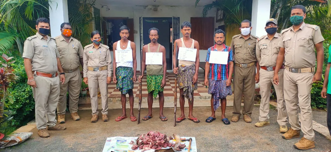  4 poachers held for killing boar in Odisha's Angul