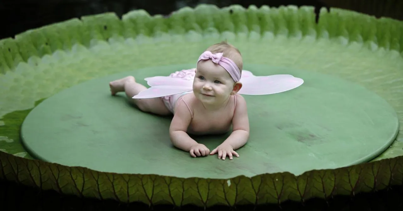  Designer baby 