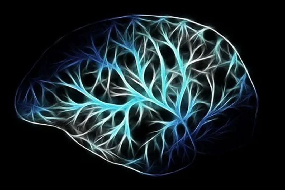  High BP in midlife is linked to increased brain damage: Study