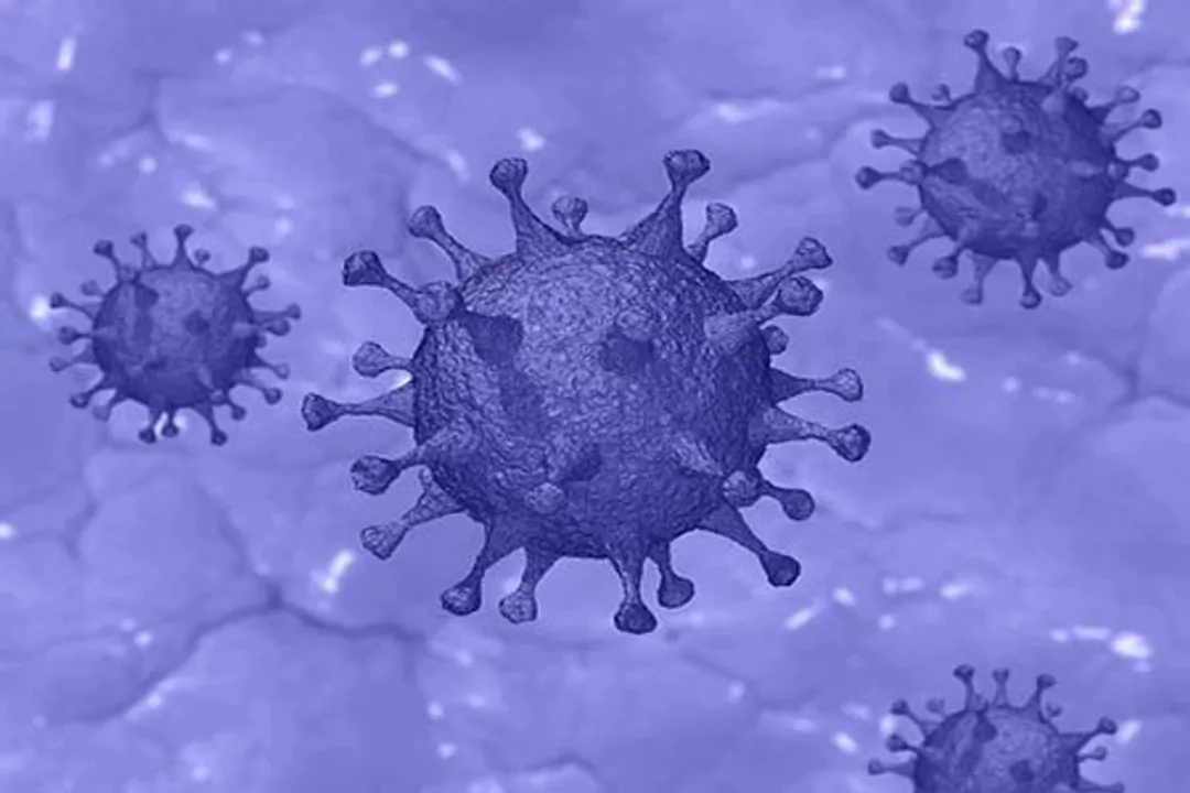  No need for tests after 10 days of home isolation in mild cases: New guidelines