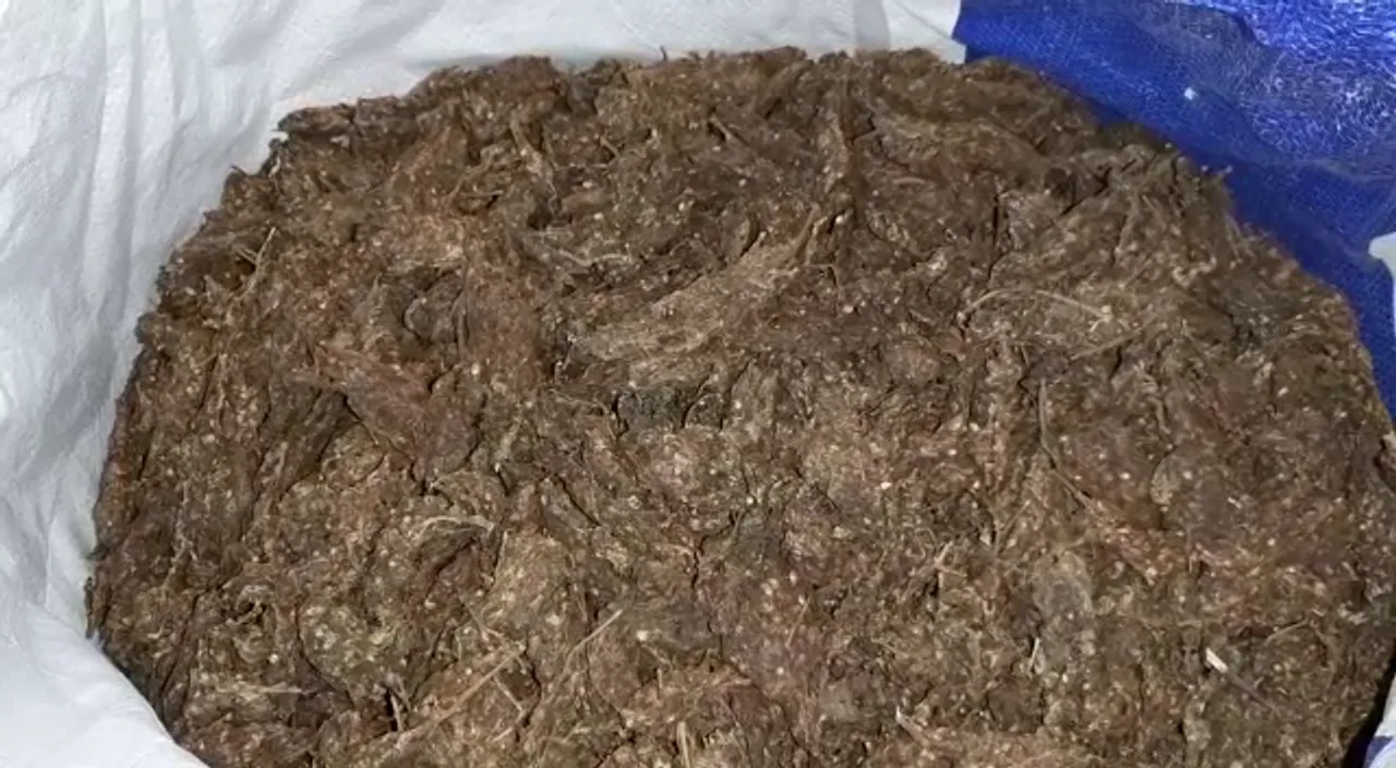  Ganja worth Rs 2 crore seized in Odisha's Koraput