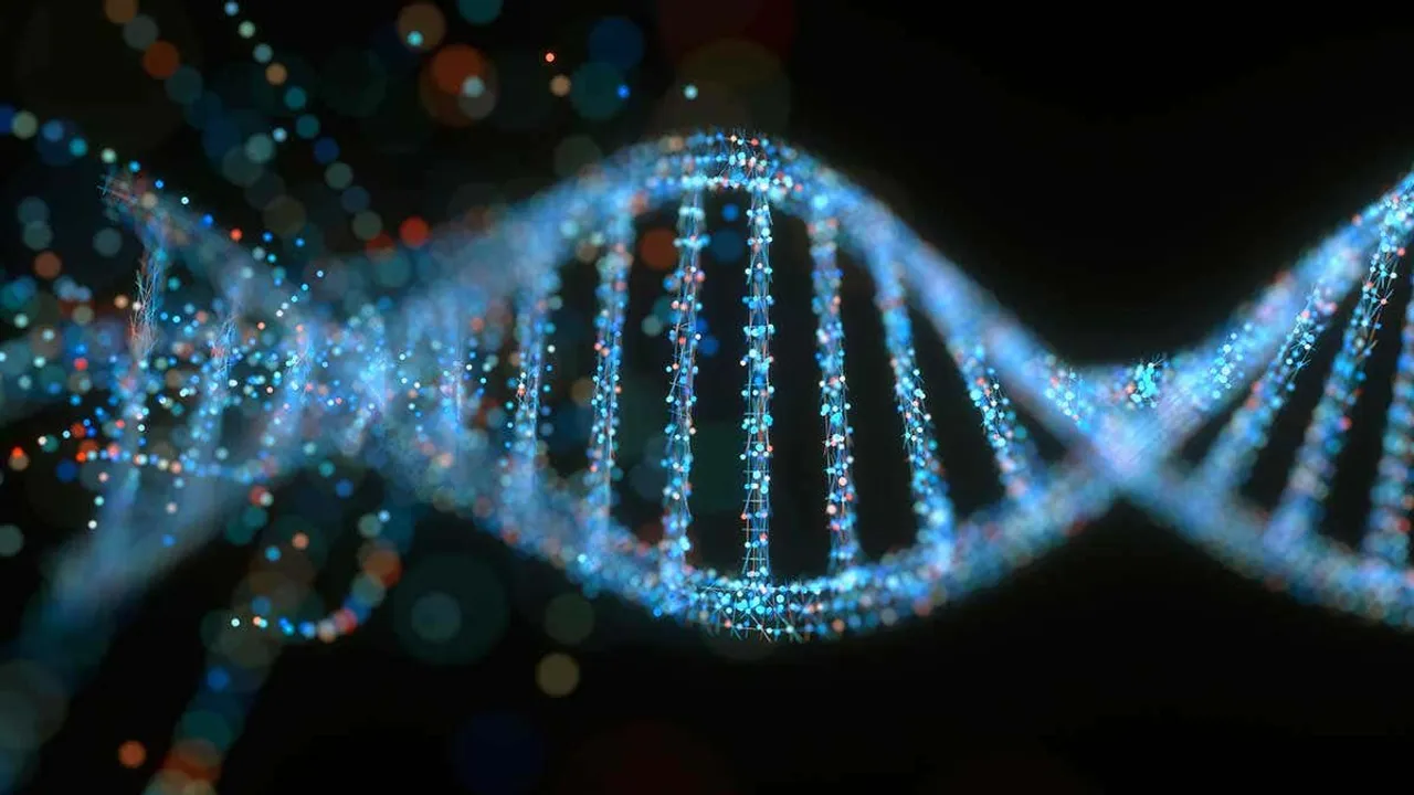  DNA 