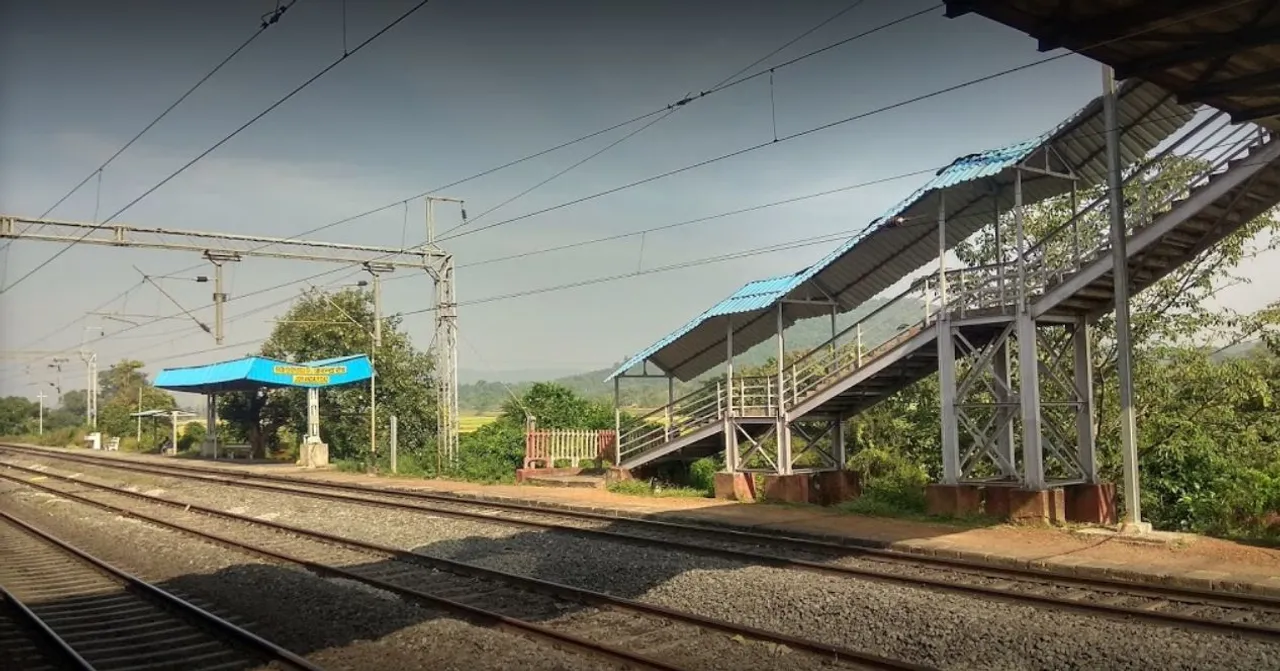  Odisha: 24 buffaloes killed after being hit by train