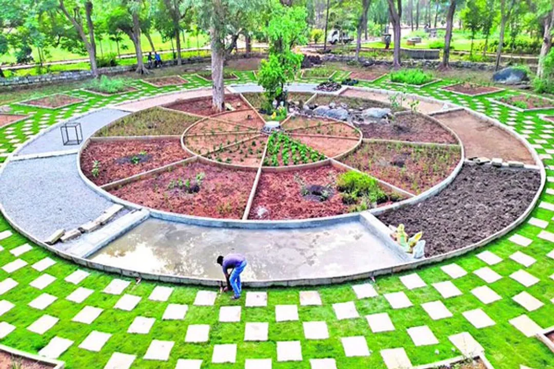  pic courtesy: Twitter 