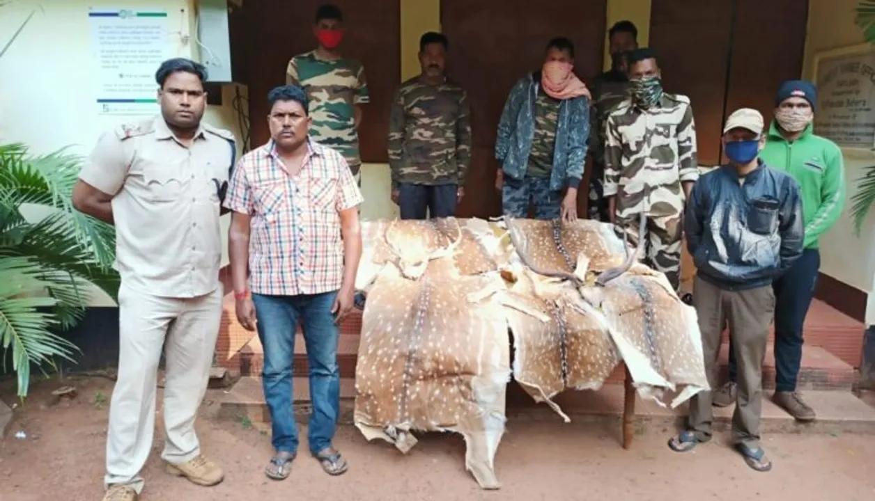  Five deer skins seized, three held in Odisha
