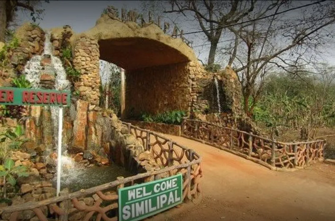  Cyclone Jawad: Similipal National Park to remain shut for 2 days