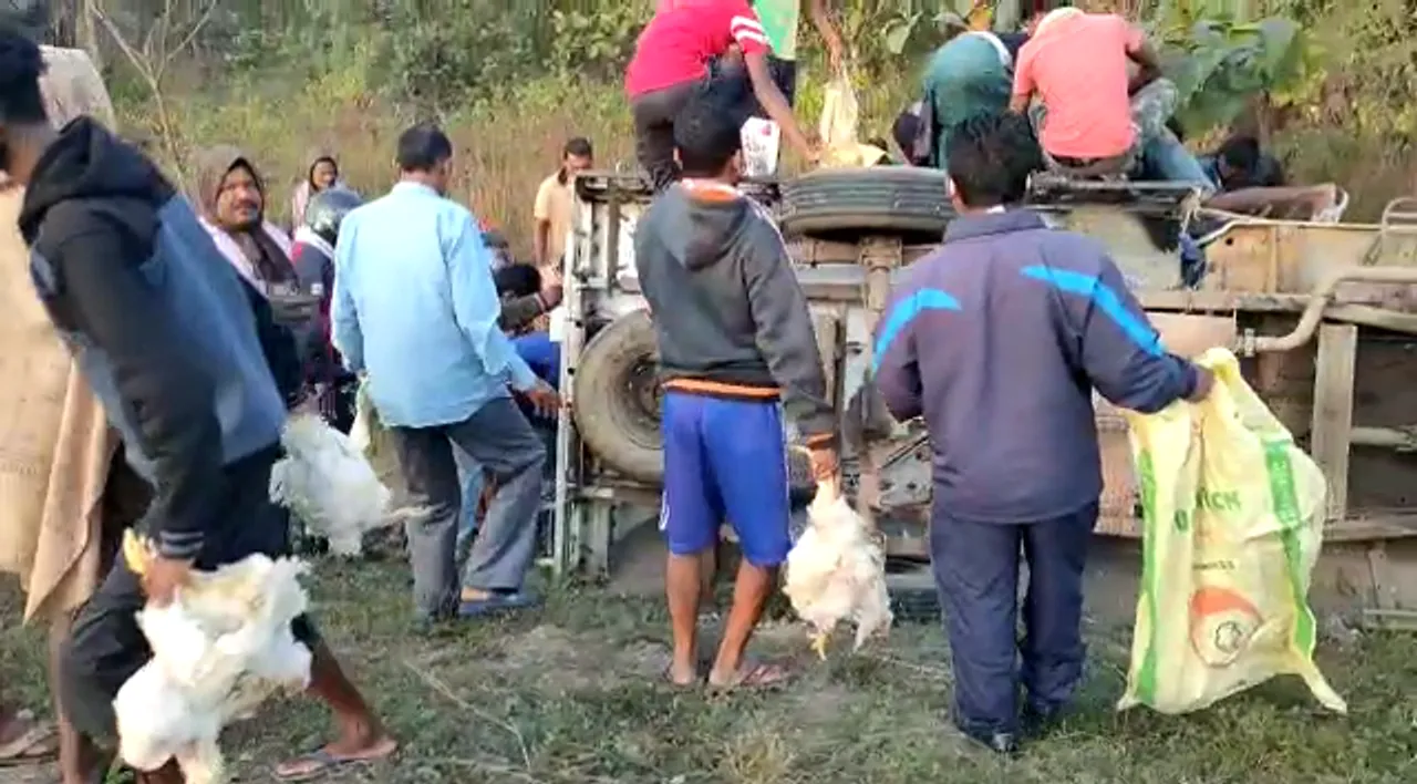  [Watch] Locals steal chickens after poultry-laden vehicle overturns in Odisha's Sundargarh