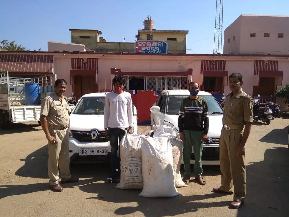  Cannabis worth over Rs 2 crore seized in different parts of Odisha; 3 held