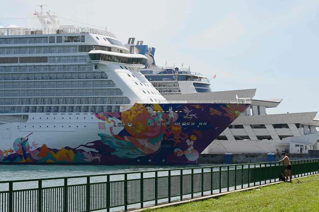 Singapore 'Cruise To Nowhere' Ends After Passenger Tests Positive For COVID-19