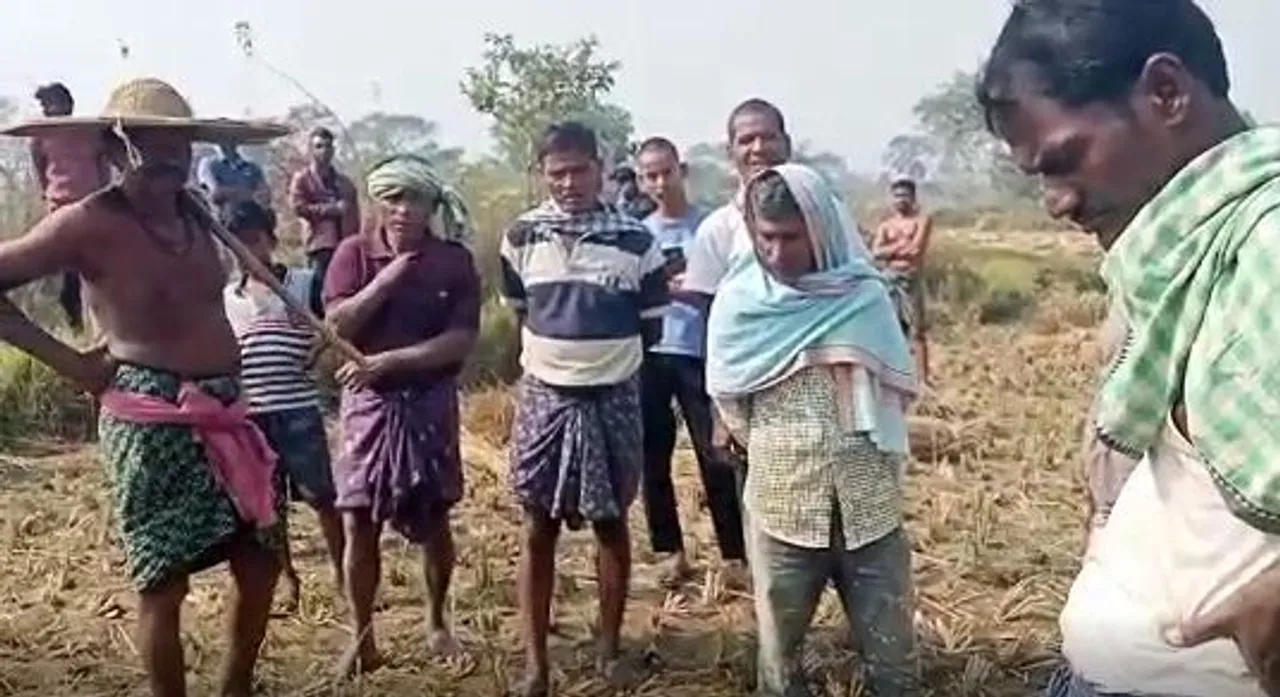  Elephant kills farmer at farmland in Odisha's Dhenkanal
