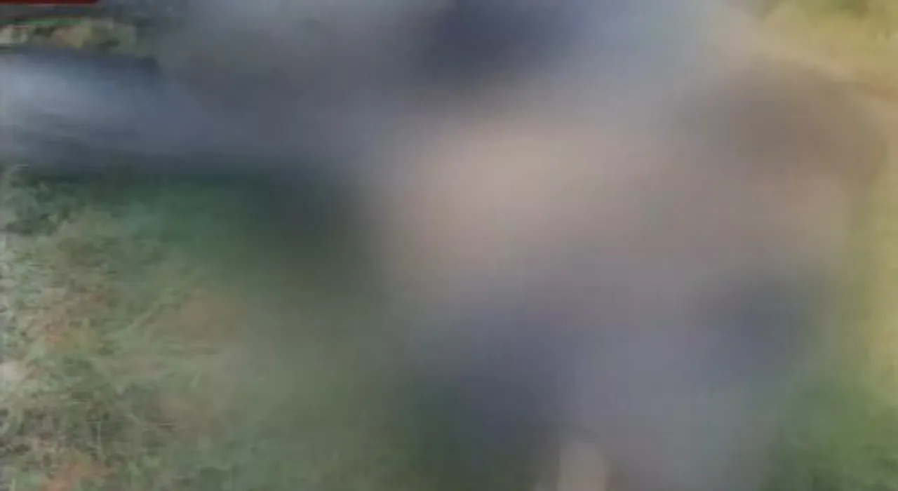  Elephant electrocuted to death in Odisha's Sambalpur