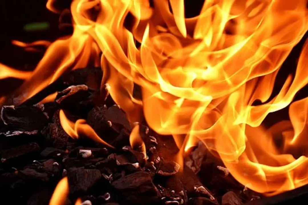  Odisha Forest official dies in fire mishap at residence