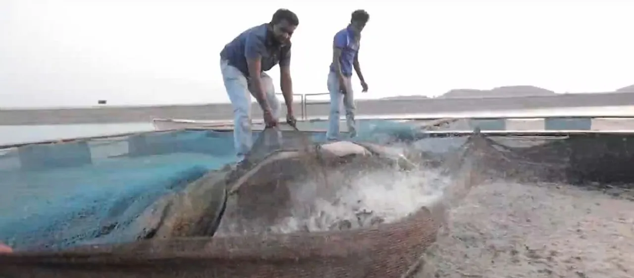  Odisha aims to raise annual fish production by over 1.24 lakh tonnes