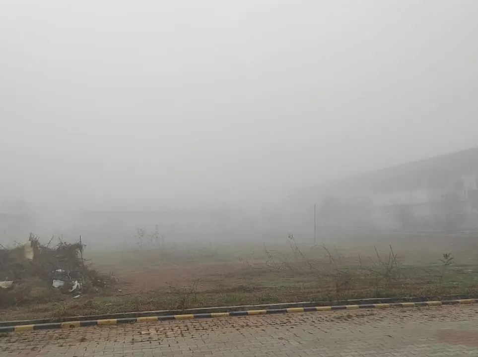  Dense fog blankets Odisha capital, vehicular movement hit