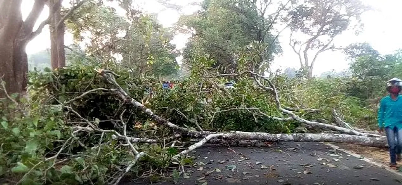  Maoists block road by cutting trees in Odisha's Kandhamal