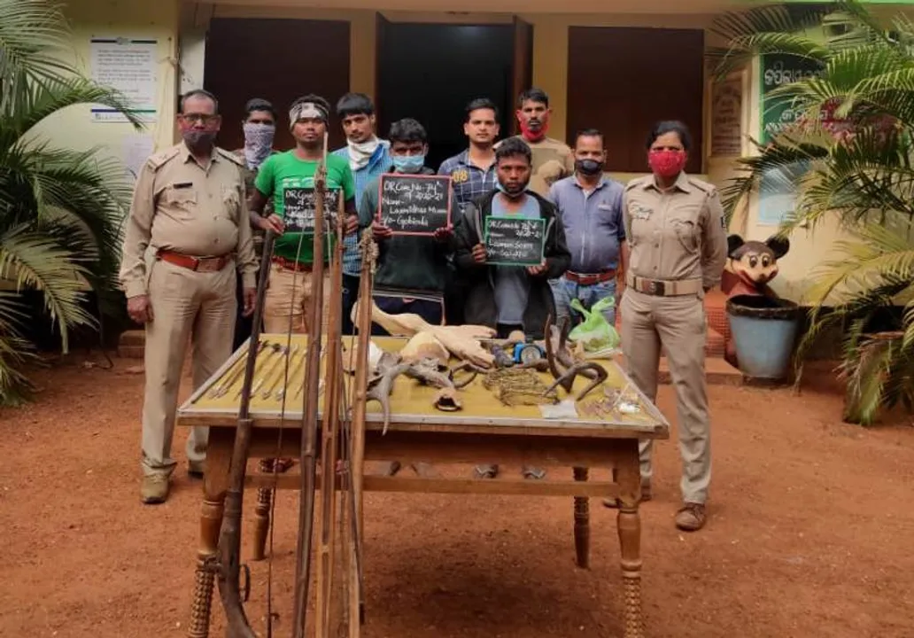  Wildlife smuggling racket busted in Odisha's Dhenkanal; 3 poachers held