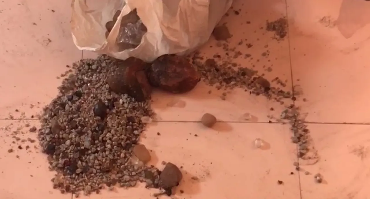  Precious stones worth Rs 1.5 cr seized in Odisha’s Rayagada; 1 held