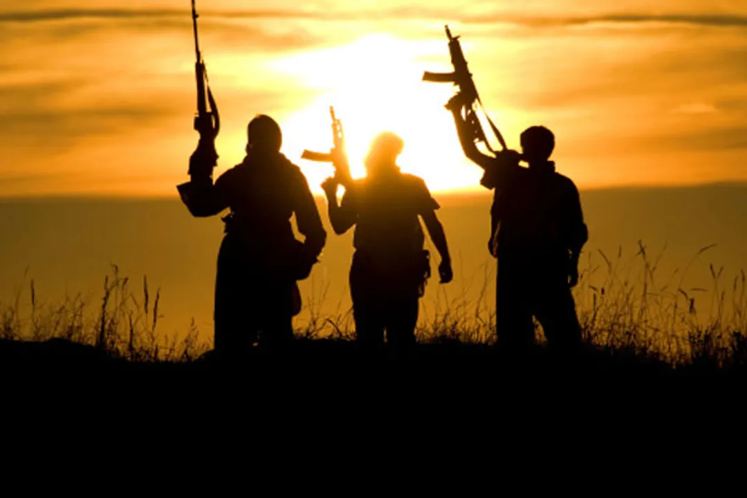  UN launches int'l hub on behavioural insights to counter terrorism
