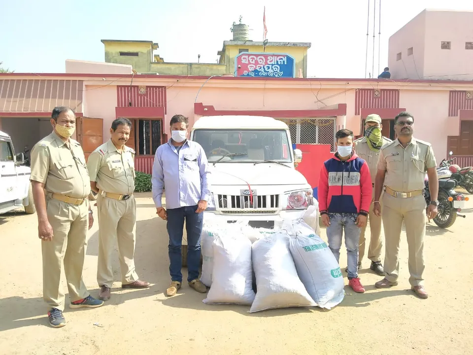  2 Bihar men with ganja worth Rs 10 lakh arrested in Odisha