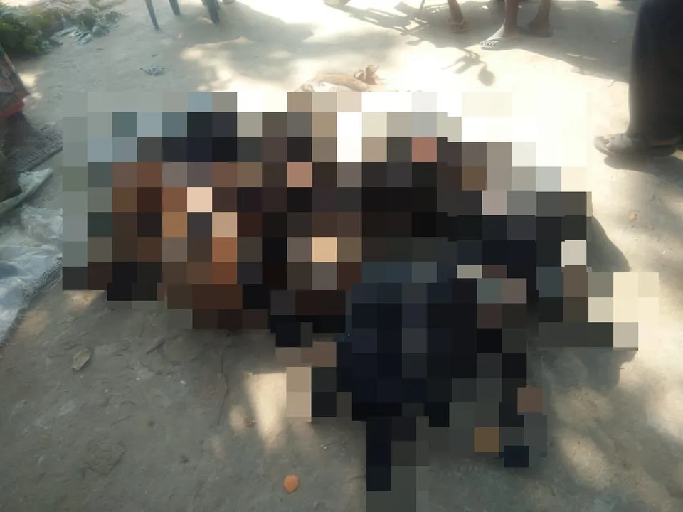  Unknown animal kills over 15 goats in Odisha's Deogarh