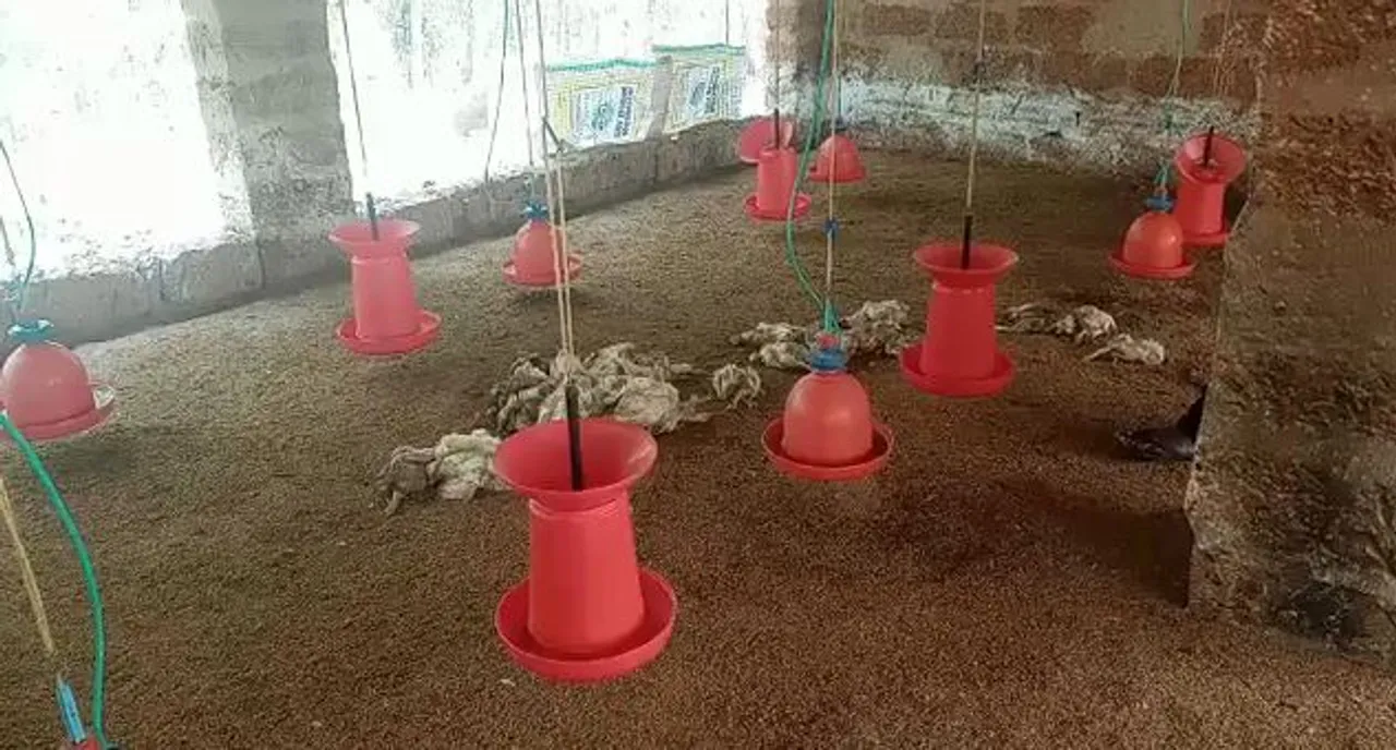  Bird flu: Odisha govt opens Control Room