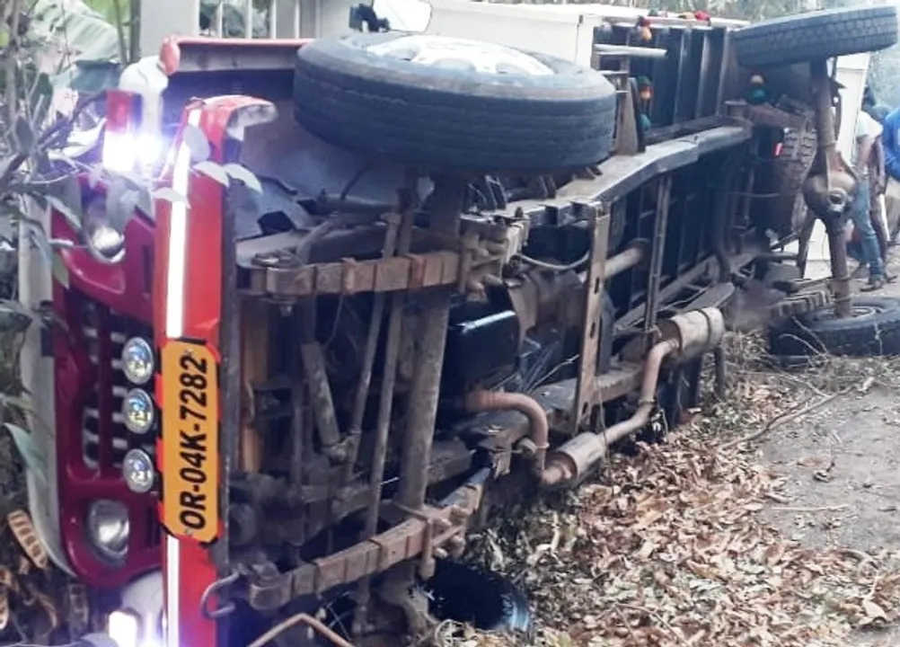  Five cattle killed as pick-up van overturns in Odisha's Bhadrak