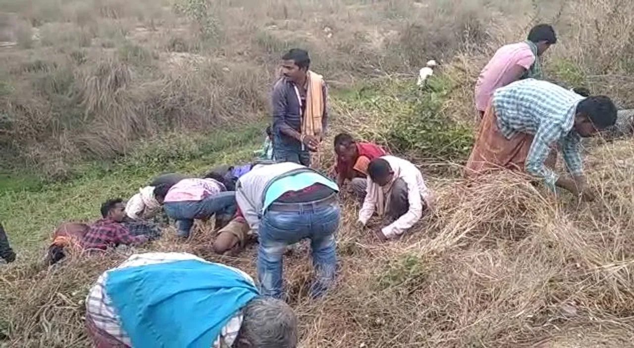  Watch: Locals frantically picking ganja dumped on roadside in Odisha