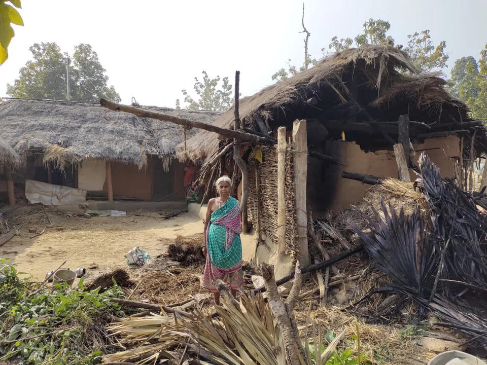 Jumbo herd wreaks havoc in Odisha's Keonjhar; houses, articles damaged