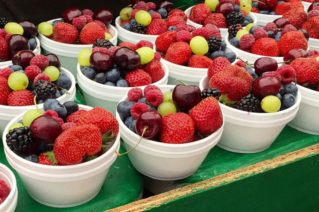  Natural antioxidants can keep heart, cancer diseases at bay