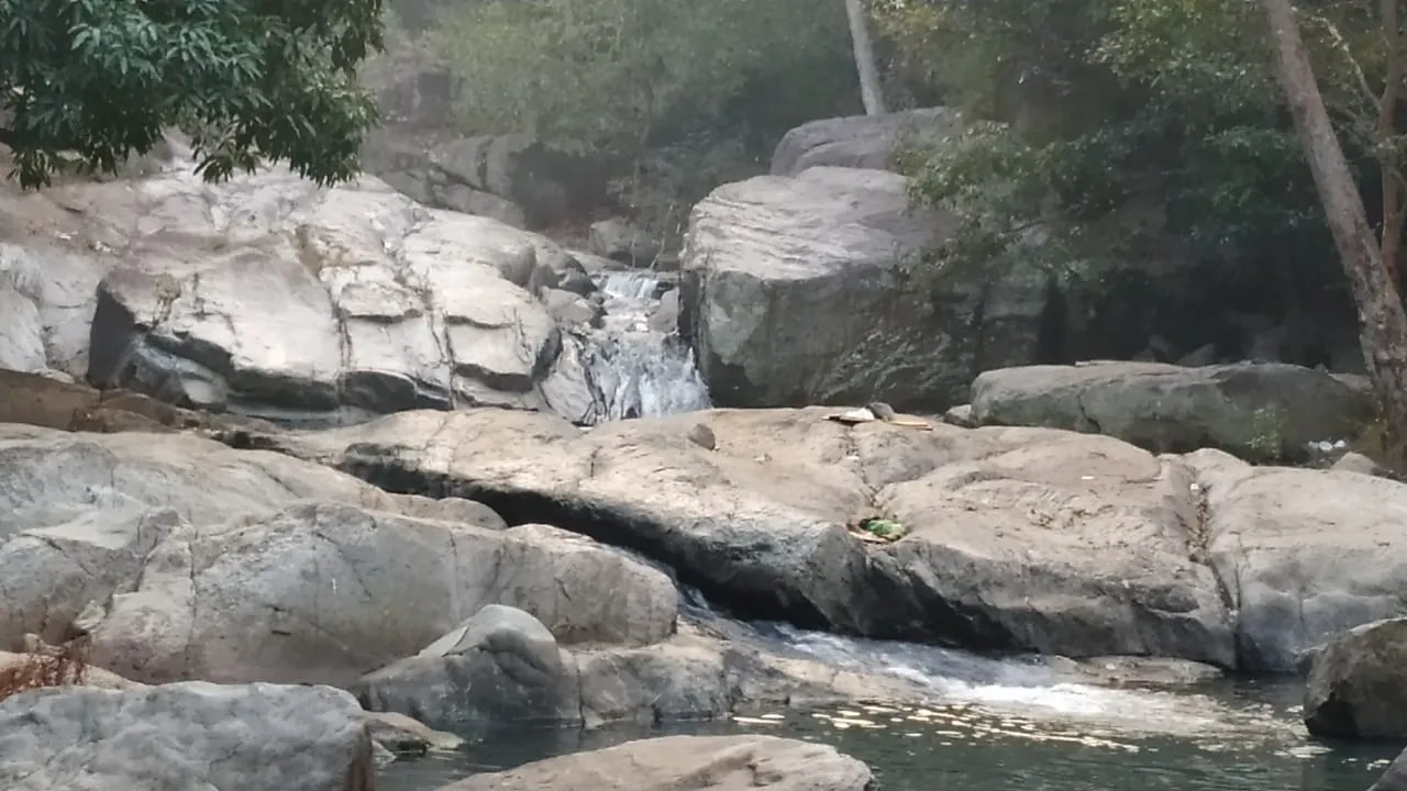  Minor boy dies while taking selfie at waterfall in Odisha