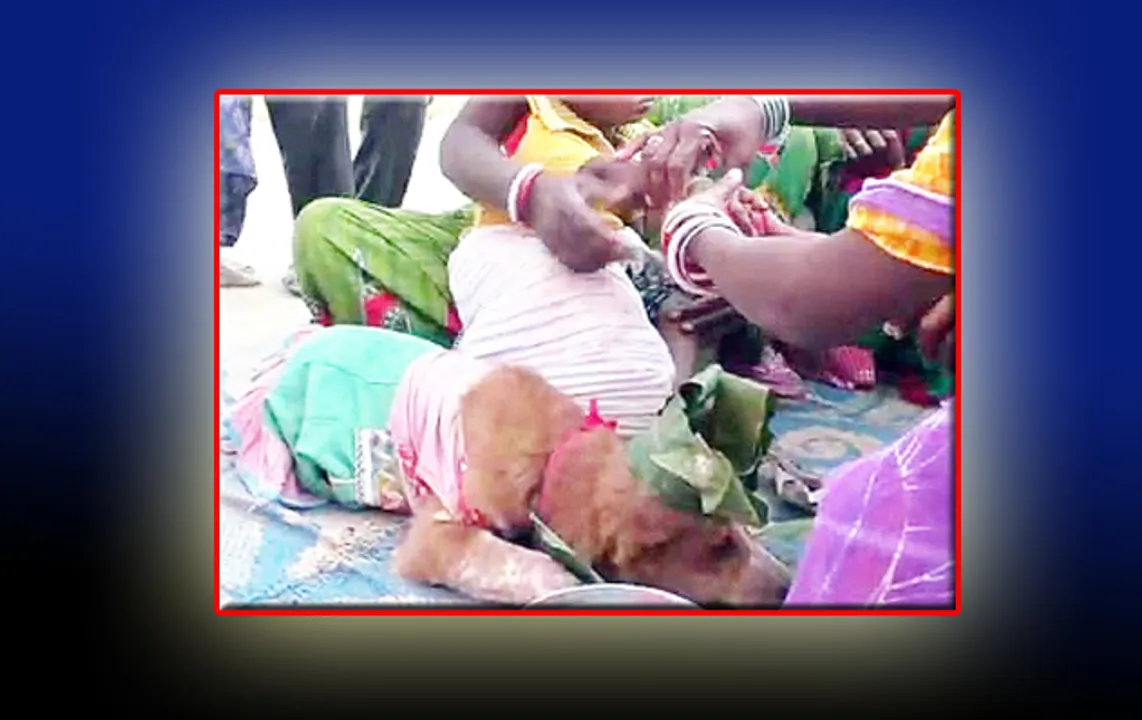  Odisha child marries dog to drive away malefic planetary effects!