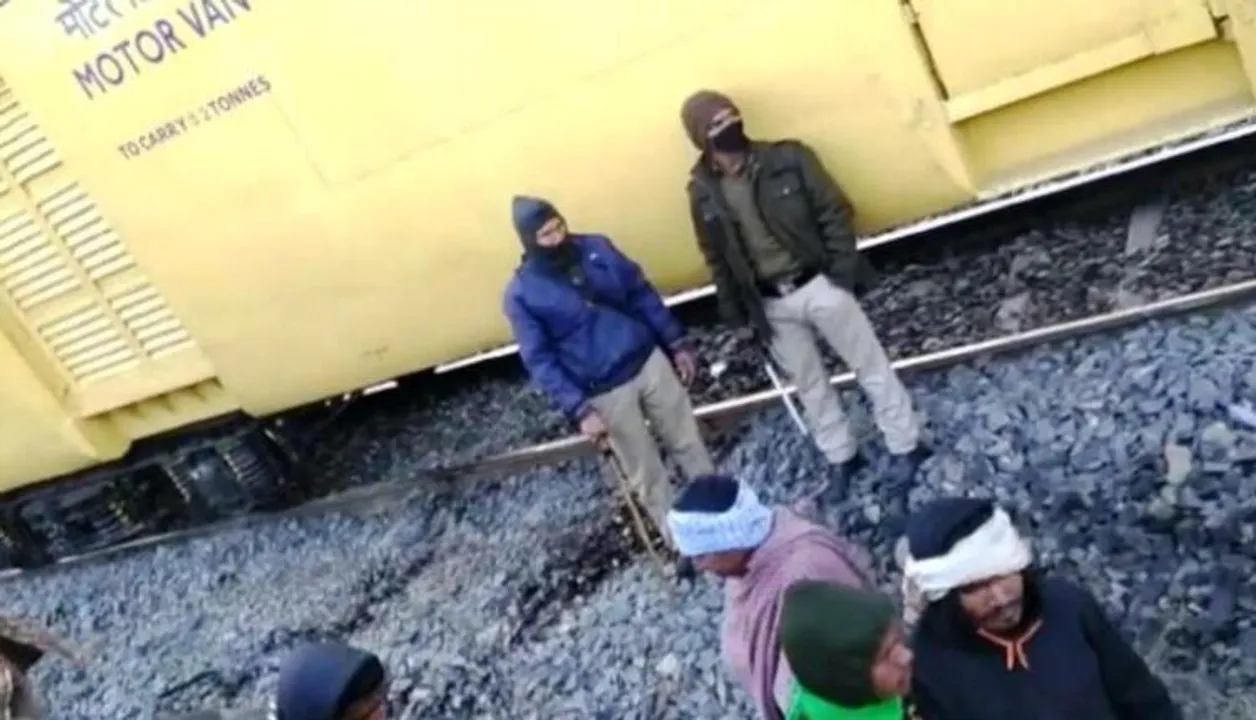  Hit by train, two female elephants die in Odisha