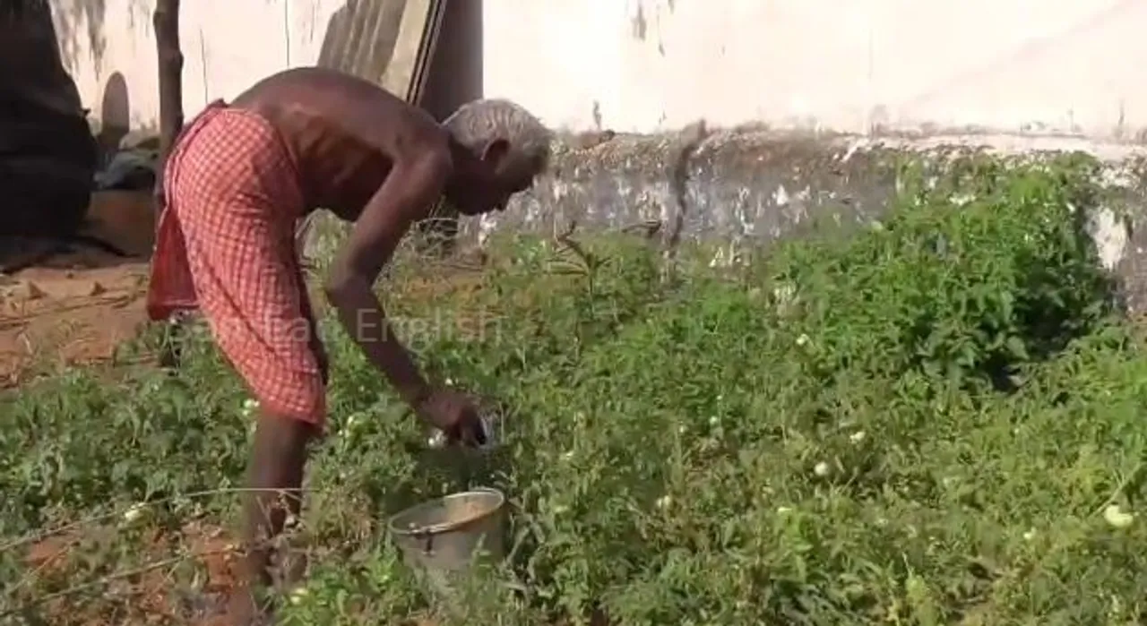  Meet '109-year-young' Odisha man who opted organic farming for survival