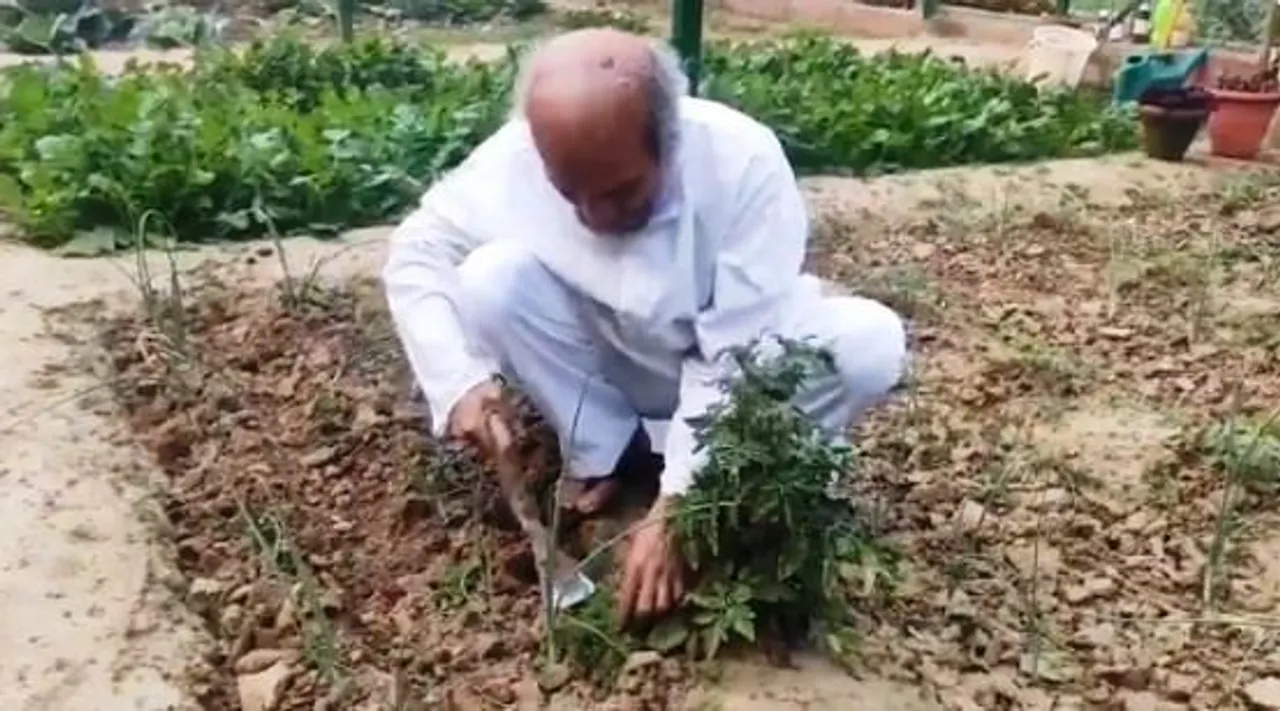  [Watch] Union Minister Pratap Sarangi in shoes of a farmer