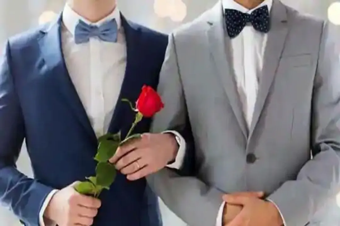  No fundamental right of same-sex marriage: Centre to HC