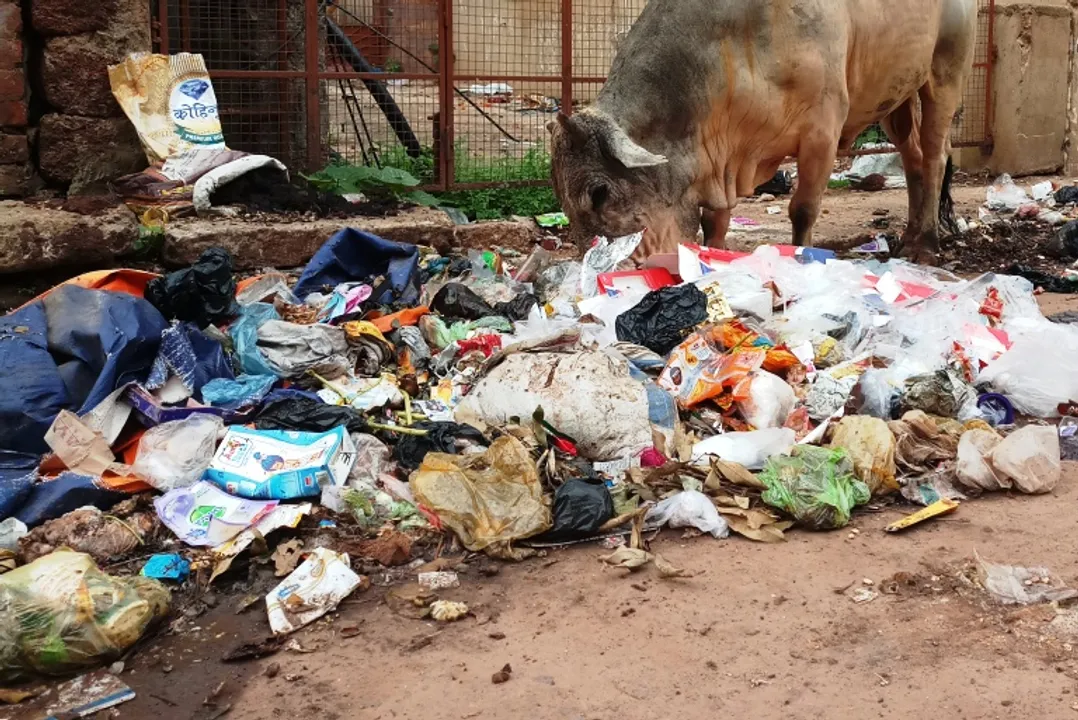  Odisha has highest contaminated sites in India