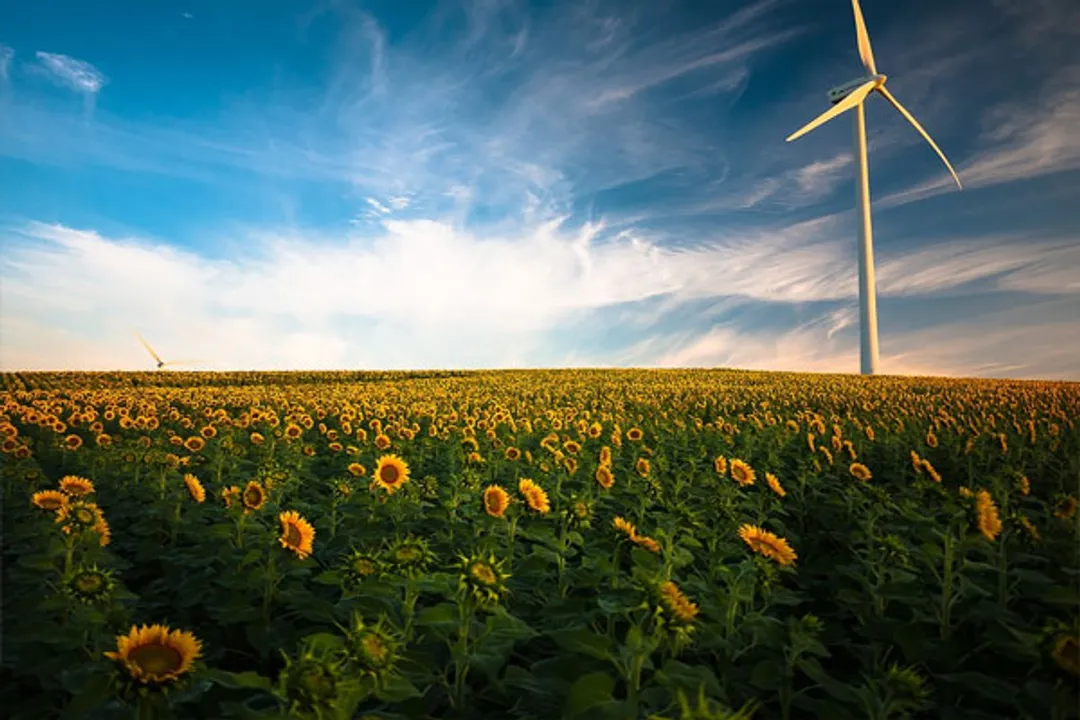  India needs 55-fold renewable energy growth for zero emission