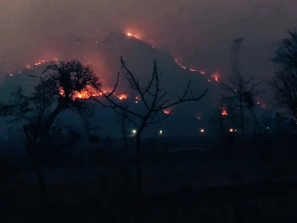  Odisha Forest Fire: State govt forms task force