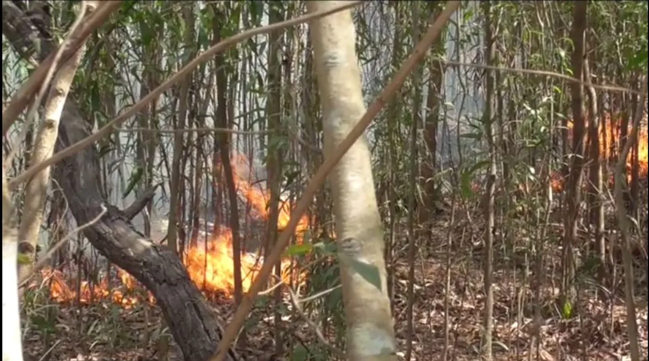  Wildfire: Leaves of field forest officials cancelled in Odisha