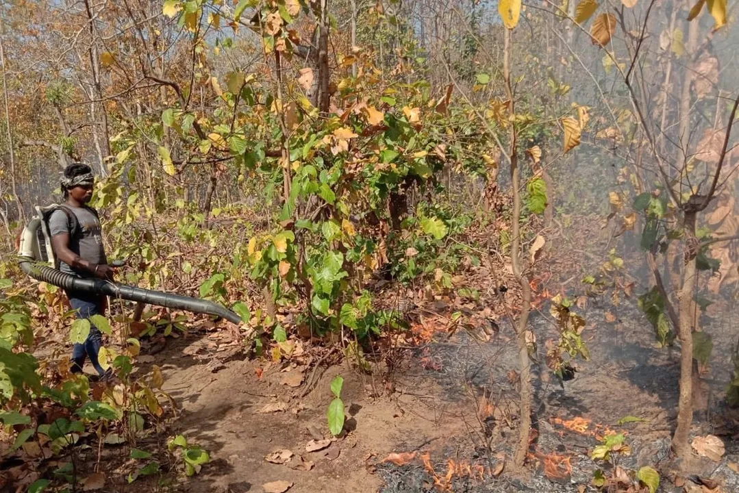  Similipal fire: Locals extend helping hands in dousing flame