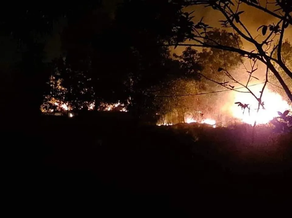  Similipal wildfire: All animals in the forest are safe, asserts Odisha Minister