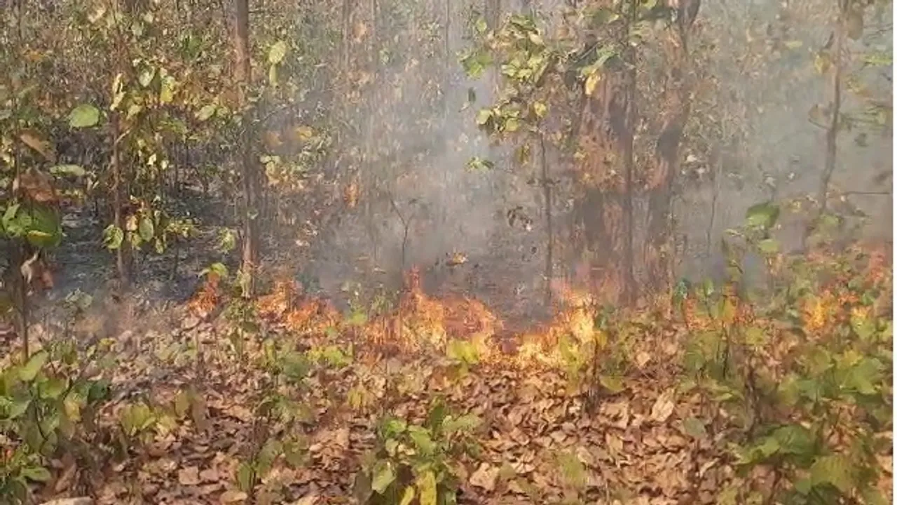  Forest fire rages in Similipal; Union Minister directs officials to take prompt action