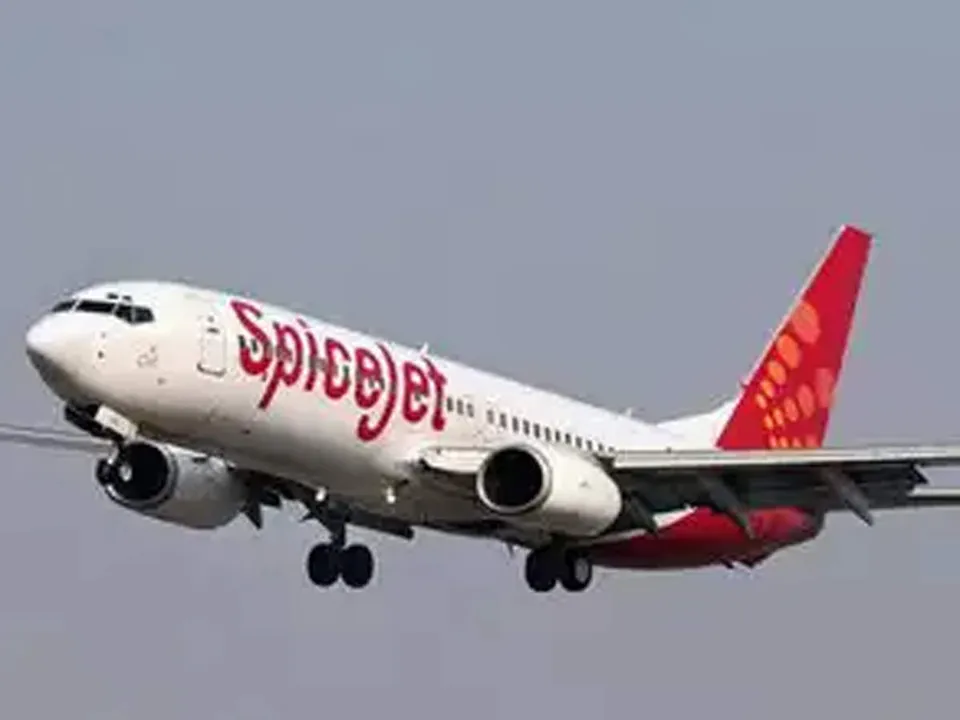  Flight passenger tries to open emergency exit door mid-air