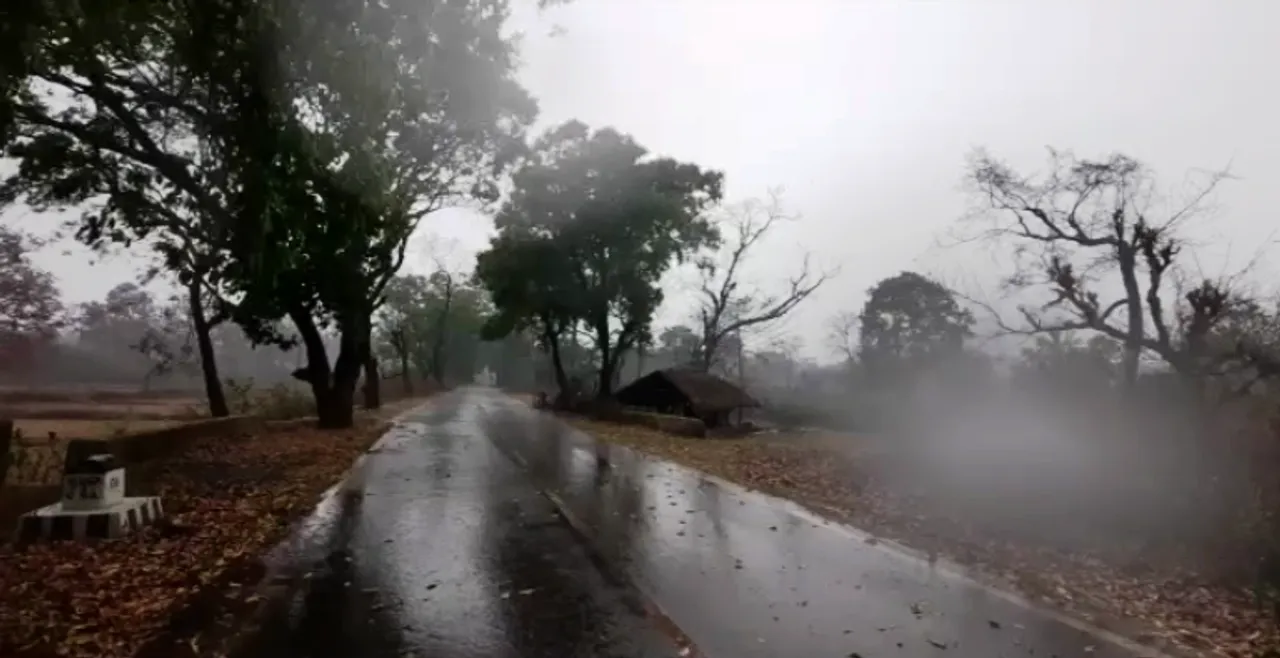  Similipal wildfire: Rainfall, hailstorm bring little respite [Watch]