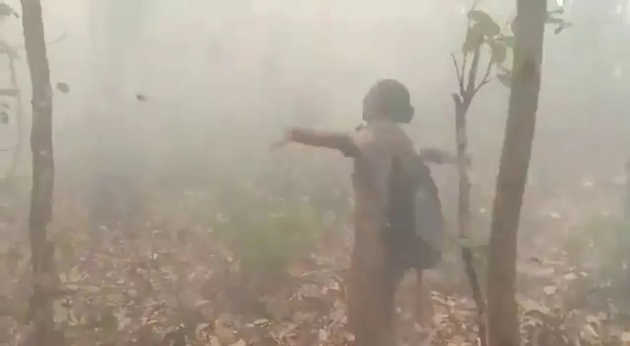  Similipal wildfire: Woman Forester jumps with joy after rainfall [watch]