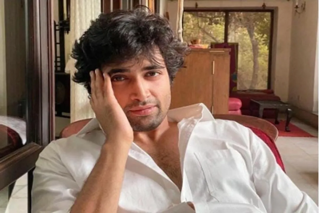  Why Telugu star Adivi Sesh understands Punjabi easily