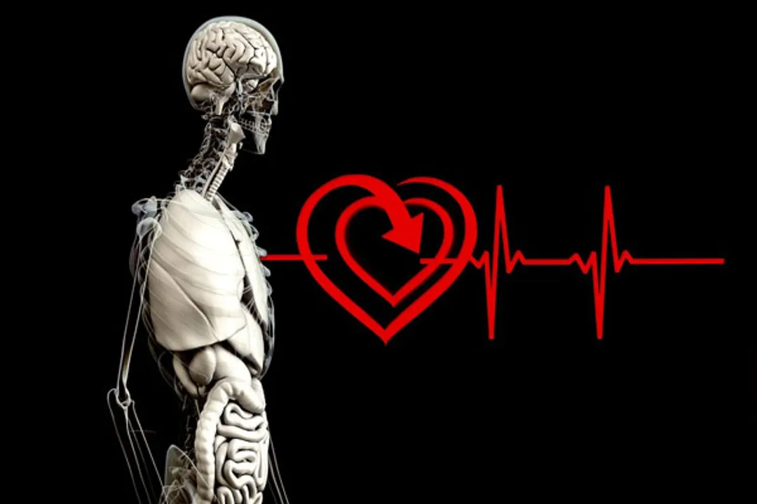  A fatty liver can be dangerous to your heart